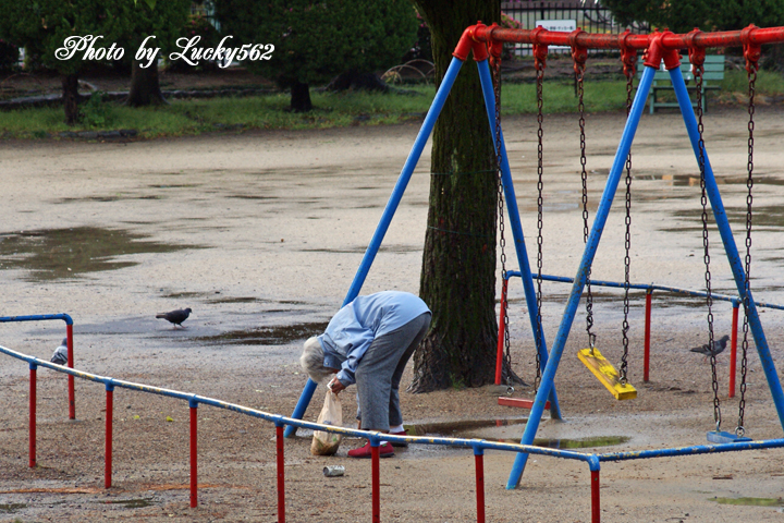 雨上がりの公園にて_e0002371_8455797.jpg