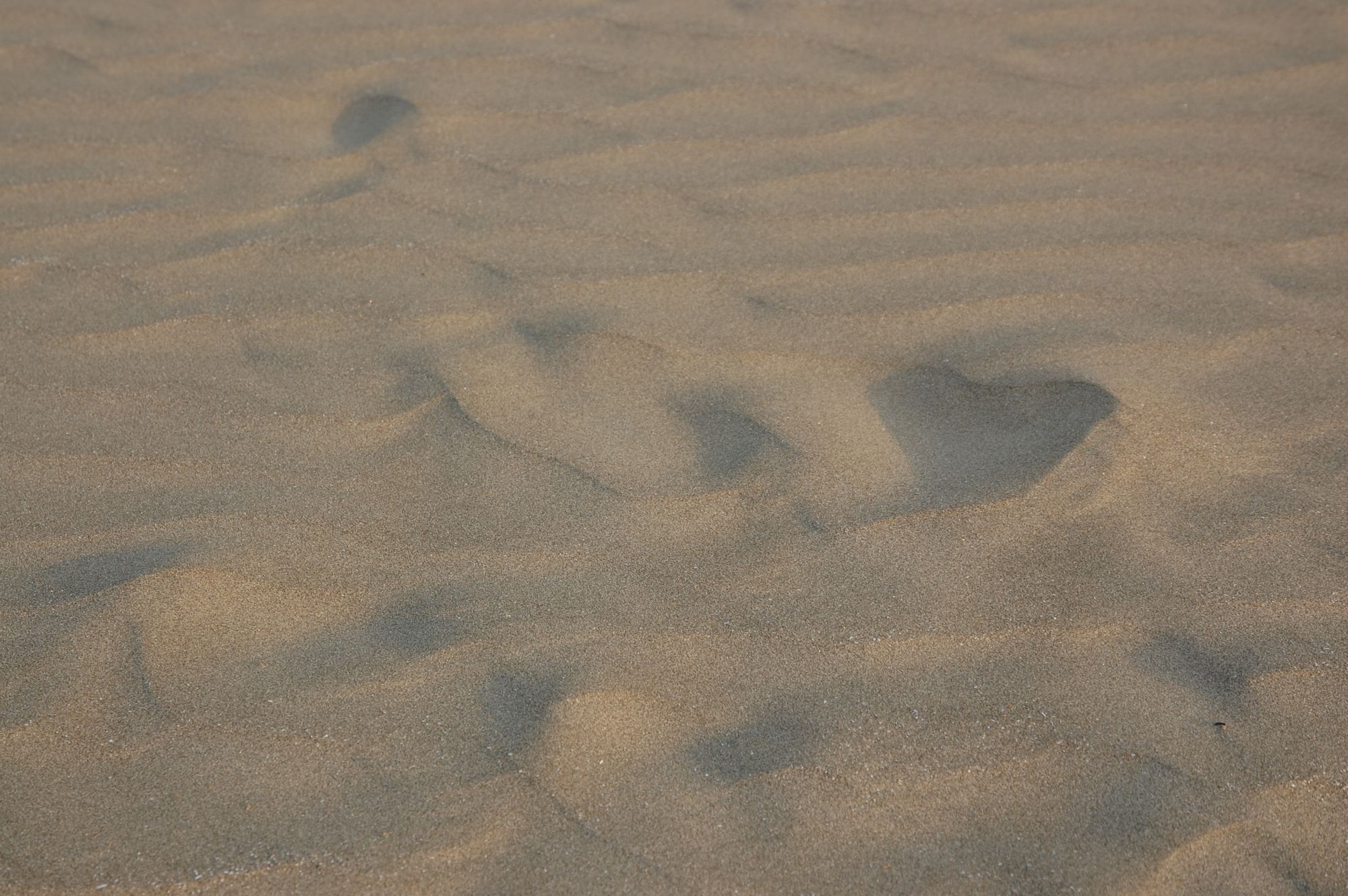 e0071178_0234729.jpg