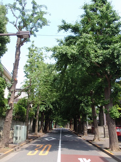 c0105785_15553524.jpg