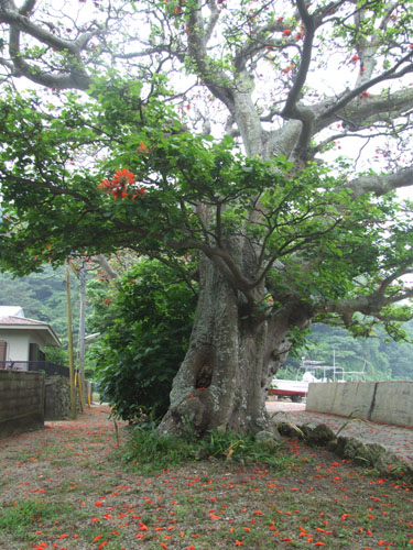 e0028387_03434.jpg