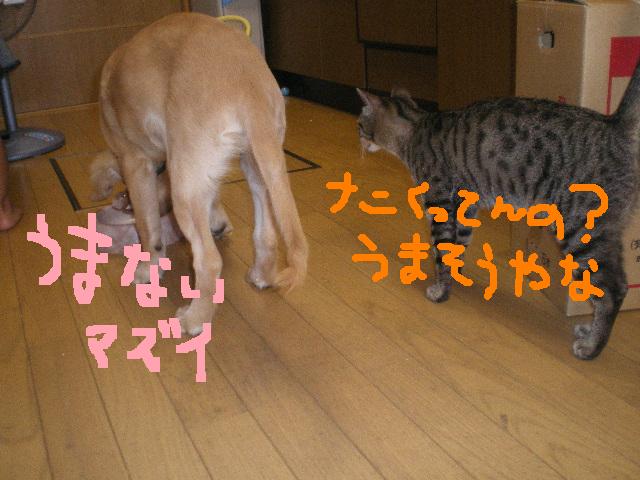 世の中そんな甘ないな・・・_f0175589_10322879.jpg