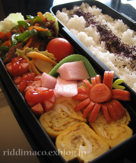 最近のお弁当 酒と泪と男とごはん