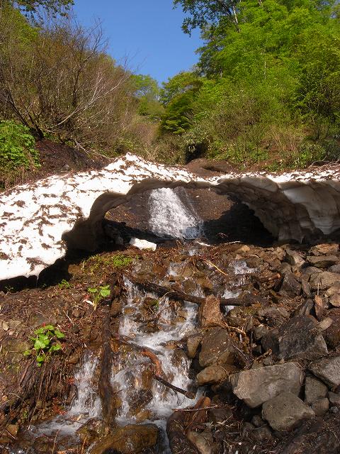 ６月７日、高妻山に登る_f0138096_16325454.jpg