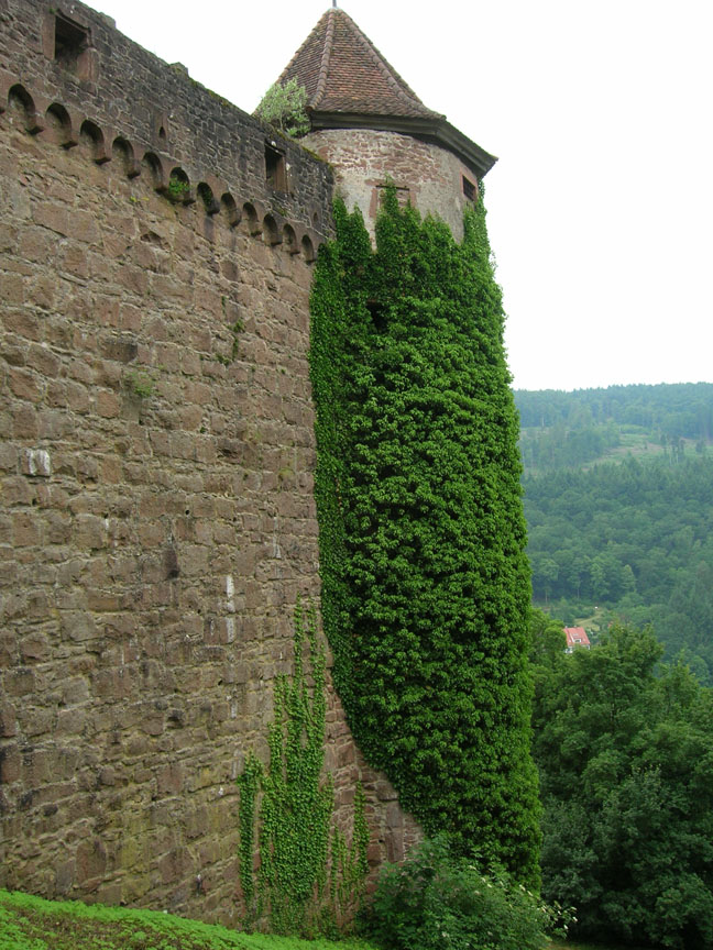 f0108399_6189.jpg