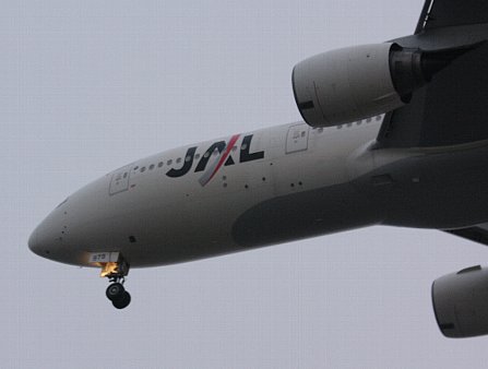 d0051614_7512121.jpg