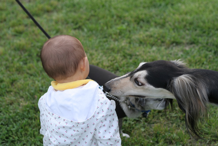 犬公園_e0116322_2211563.jpg