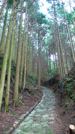 f0044029_21553317.jpg