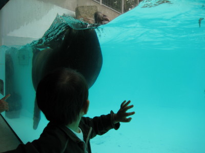 初☆動物園_f0154631_21143196.jpg