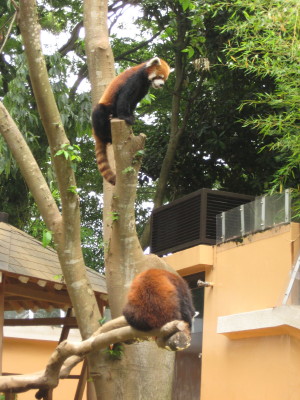 初☆動物園_f0154631_218531.jpg