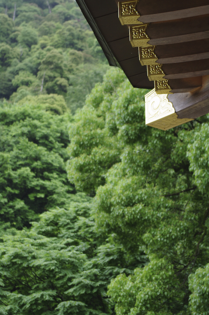 雨のち・・・雨_f0050534_15492196.jpg