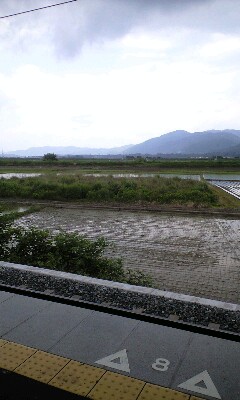 a0037043_1348404.jpg