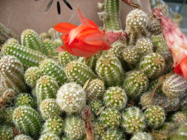 c0089446_18205844.jpg