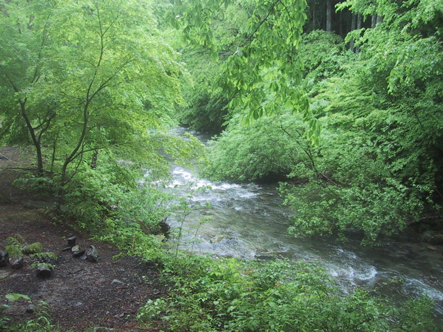 f0046250_11233111.jpg