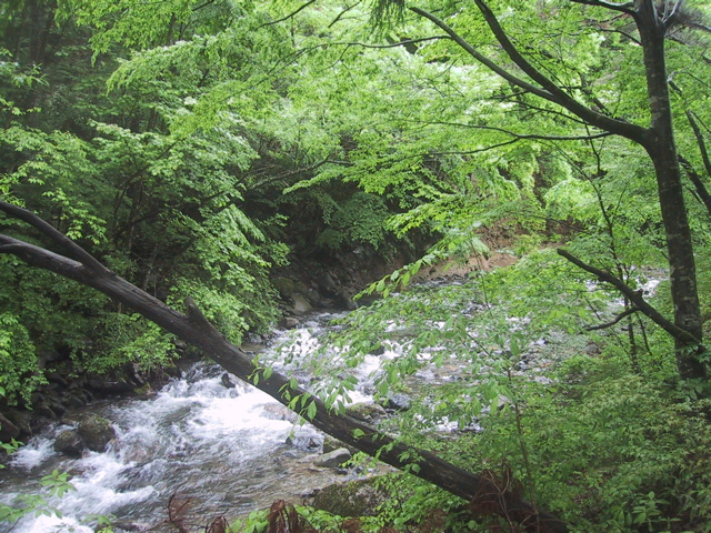 f0046250_11235842.jpg