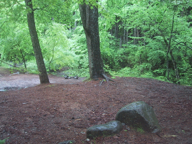 f0046250_112394.jpg