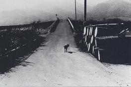 f0139963_061966.jpg