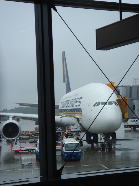 不細工なA380に会った_c0134569_16252981.jpg