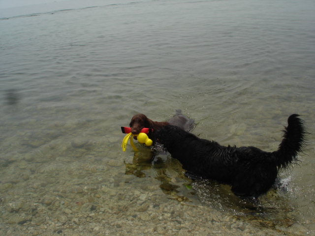 湖水地方ⅴで水泳部活~♪_d0078080_18493894.jpg