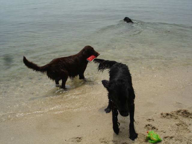 湖水地方ⅴで水泳部活~♪_d0078080_23433355.jpg