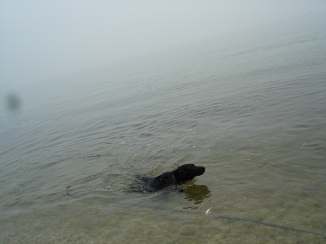 湖水地方ⅴで水泳部活~♪_d0078080_2349376.jpg