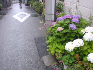 e0033384_0422330.jpg