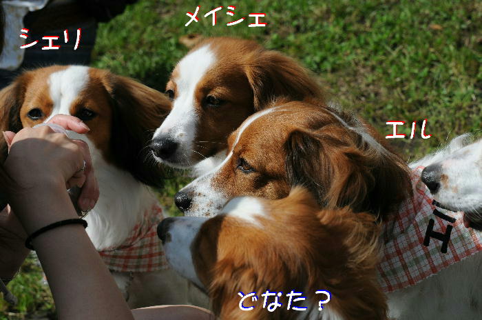 c0075585_2323942.jpg