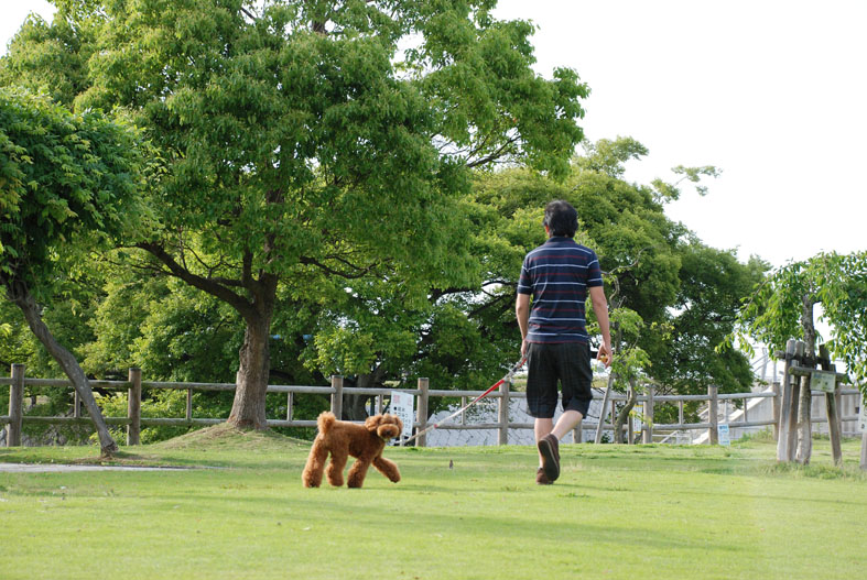 東員町の公園で！_f0146388_0274791.jpg