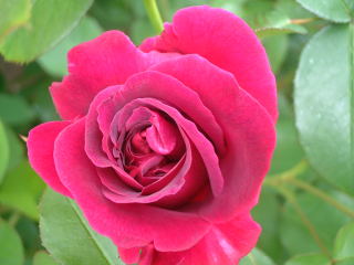b0119289_1374564.jpg