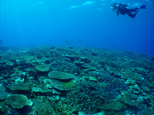 c0118393_1003466.jpg