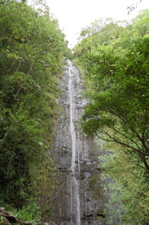 Manoa Park_e0068103_1122025.jpg