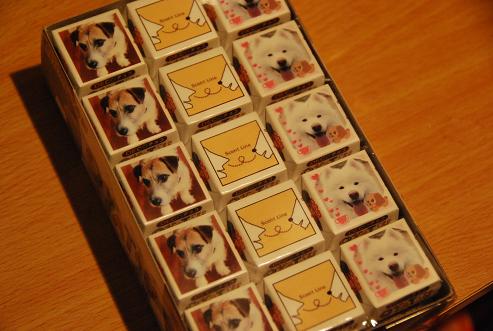 チョコ_c0099133_1156854.jpg