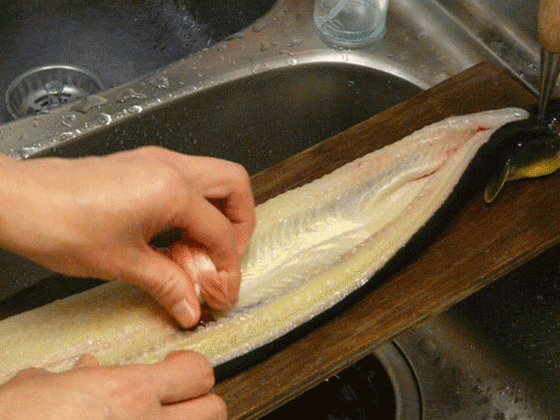 a0056140_1474663.gif