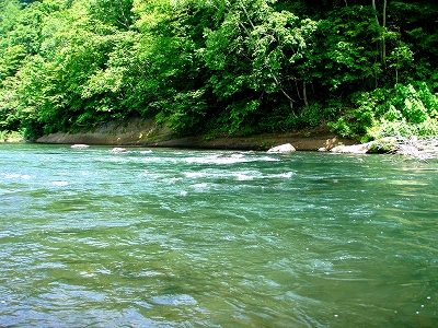 d0075843_21513626.jpg