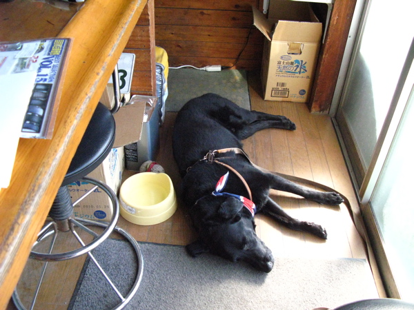 c0039145_0331366.jpg