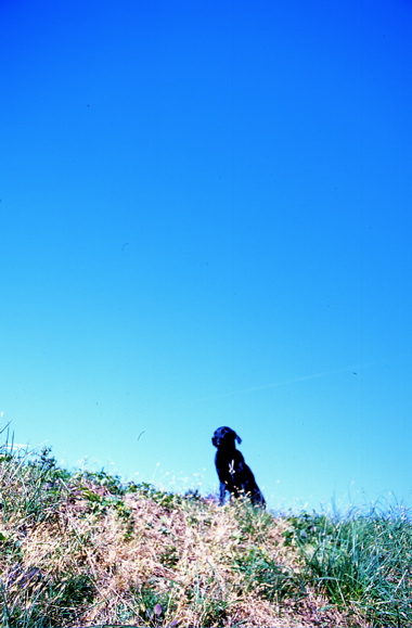 c0039145_2129095.jpg