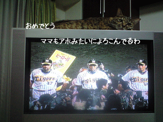 f0116546_2392094.gif
