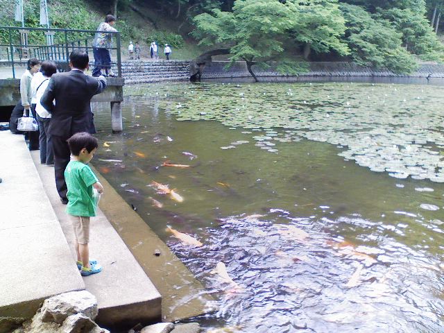 善宝寺　貝喰みの池 (かいばみのいけ)_f0111747_2025396.jpg