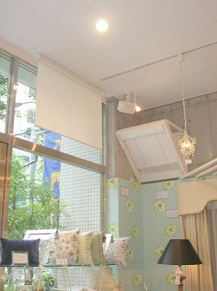 d0099850_15243018.jpg