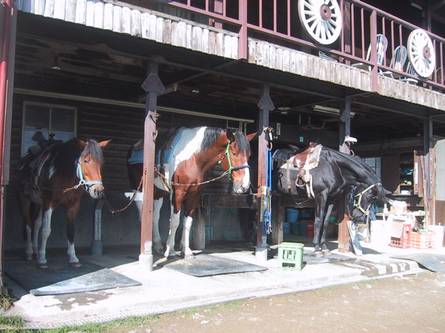 キャンプレポートｉｎ野辺山高原ａｔ滝沢牧場２００７１０１９〜ー３_f0046250_1154527.jpg