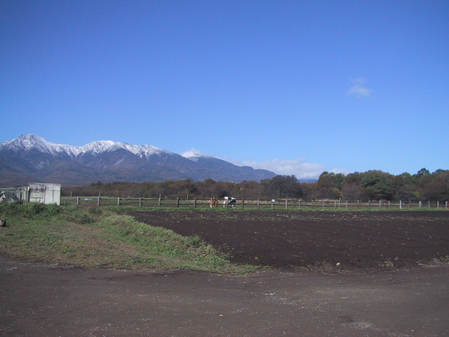 キャンプレポートｉｎ野辺山高原ａｔ滝沢牧場２００７１０１９〜ー３_f0046250_11555211.jpg