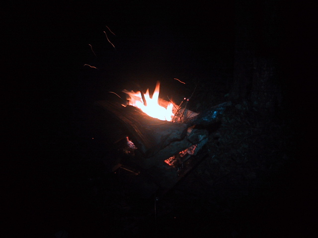 f0046250_1230052.jpg