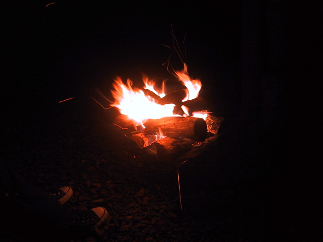 f0046250_12302848.jpg