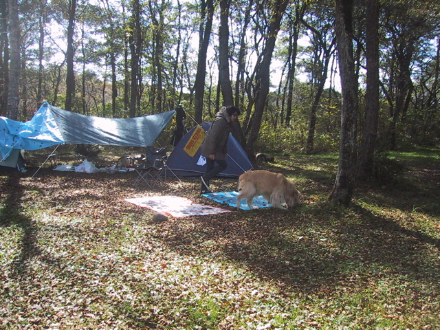 キャンプレポートｉｎ野辺山高原ａｔ滝沢牧場２００７１０１９〜ー３_f0046250_1265743.jpg