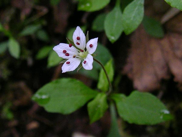 c0045352_22275063.jpg
