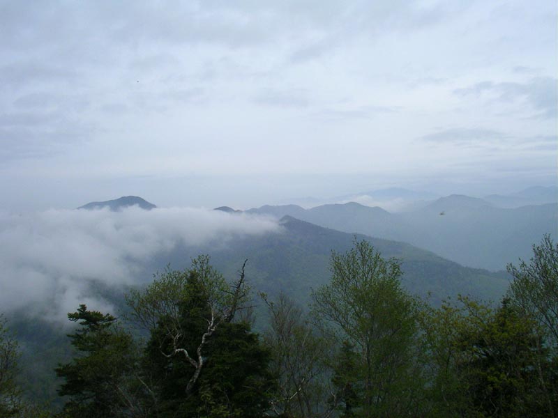 c0045352_22314543.jpg