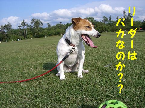 f0108553_1250636.jpg