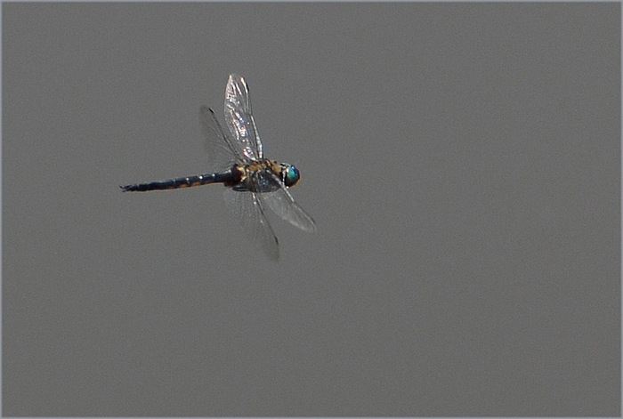 f0088971_19233831.jpg