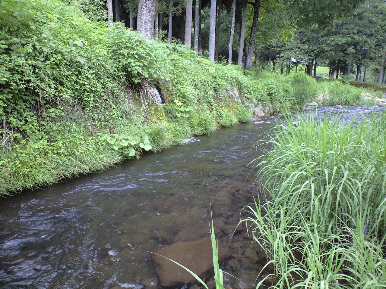 a0093677_02102.jpg