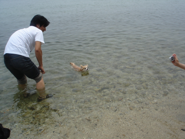 湖水地方ⅴで水泳部活~♪_d0078080_0205252.jpg