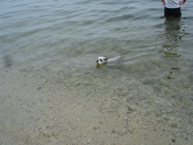 湖水地方ⅴで水泳部活~♪_d0078080_0464347.jpg